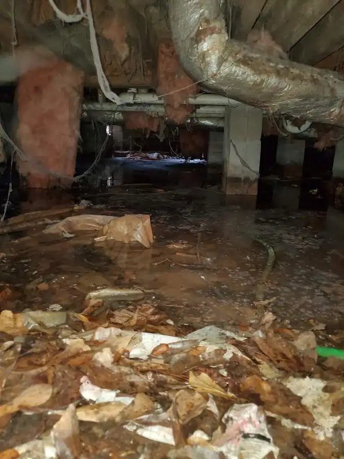 Crawl space flood assessment for Commercial Water Damage Restoration in Shelton